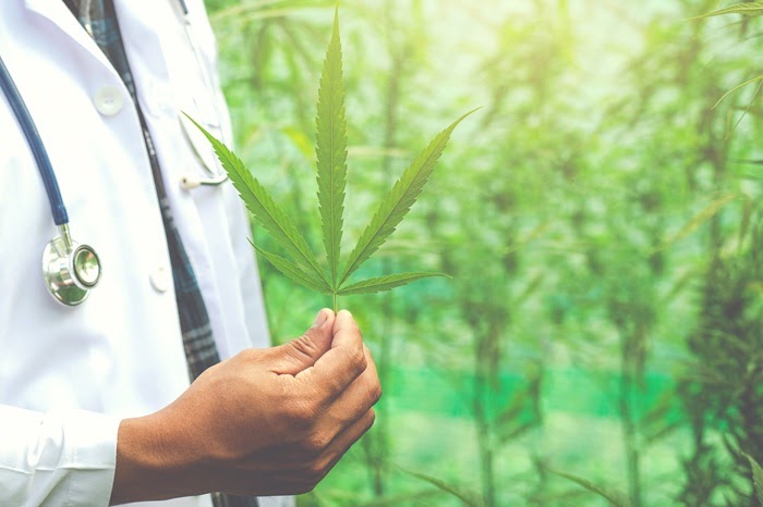 Professional Healthcare Consulting and Cannabis Health Awareness Programs for Regulatory and Patient Education Excellence