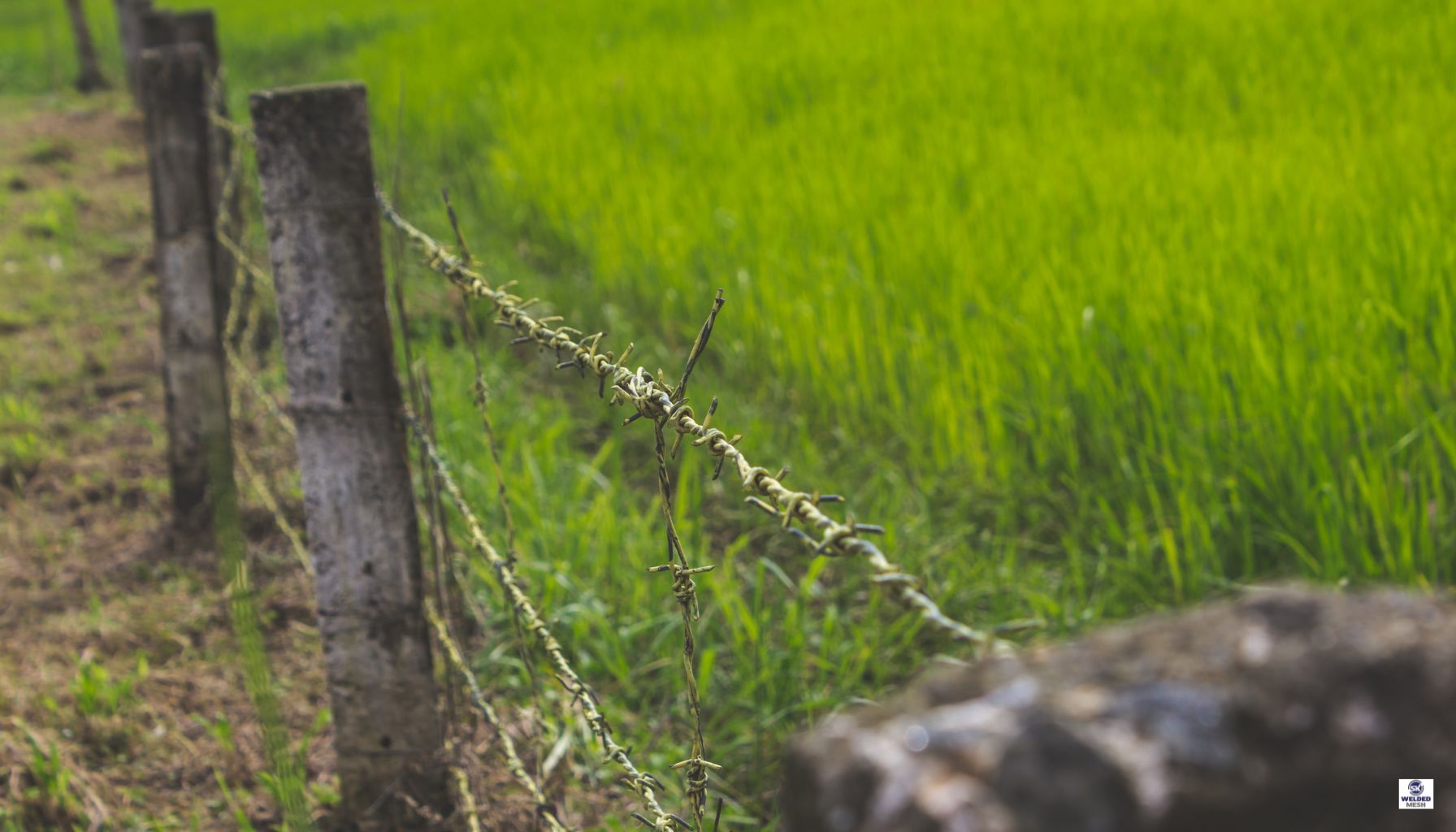 Border Fence Journey: From Factory to Frontier