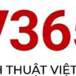 Dịch Thuật Việt Profile Picture