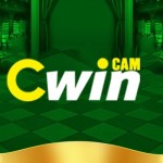 cwin cam Profile Picture