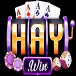 Haywinapp com Profile Picture
