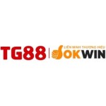 Tg88 game org Profile Picture