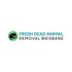 Fresh Dead Animal Removal Brisbane Profile Picture