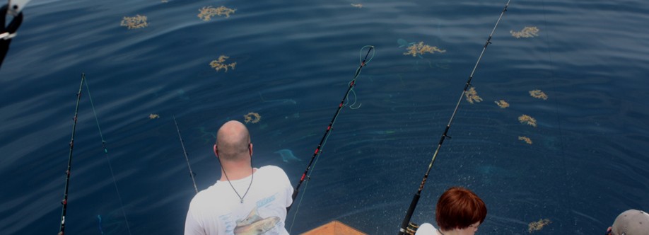 Tide Down Sport Fishing Cover Image