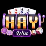 HAYWIN JPNET Profile Picture
