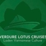 VERDURE LOTUS SCRUISES Profile Picture