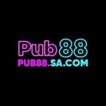 PUB88 SACOM profile picture