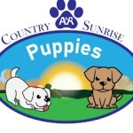 AandR Countrykennels Profile Picture