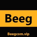 Beegcom Official Profile Picture
