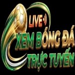 xembongdatructuyen lytuongnet Profile Picture