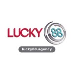 lucky88 agency Profile Picture