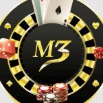 vipm3 net Profile Picture