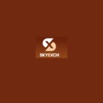 Skyinplay Login Profile Picture