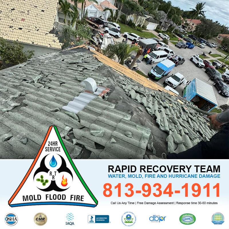 Roof Leak Repair Tampa FL | Best Roof Leak Repair Service