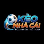 keonhacai lytuongnet Profile Picture
