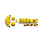 8888B co Profile Picture