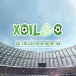 Xoilac TV Trực tiếp bóng đá Profile Picture