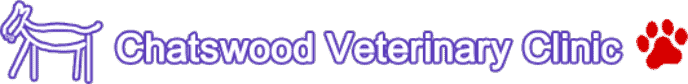 Pet Vaccinations | Affordable Kitten & Puppy Vaccinations For Immunization | Chatswood Veterinary Clinic