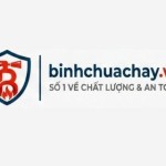 Bình Chữa Cháy VN Profile Picture