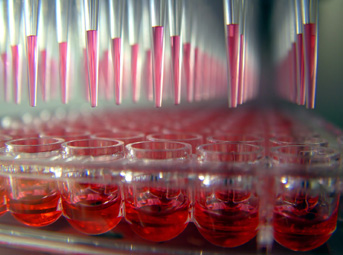 Chemical Compounding & Custom Blending Services | AlliedIn